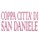 Coppa Città di San Daniele